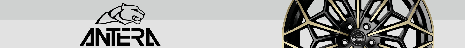 banner antera